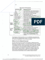 CSF_3.pdf