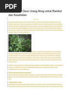 Download 10 Manfaat Daun Urang Aring Untuk Rambut Dan Kesehatan by Siti Sabrina SN272477966 doc pdf