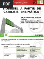 Biodiesel a partir de catálisis enzimatica