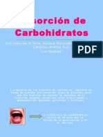 2A Absorcion de Carbohidratos - Las Barbies