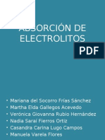 2b -Absorcion de Electrolitos Las Claudias