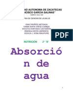 2b -Homeostasis Absorcion Del Agua- Las Iguanas