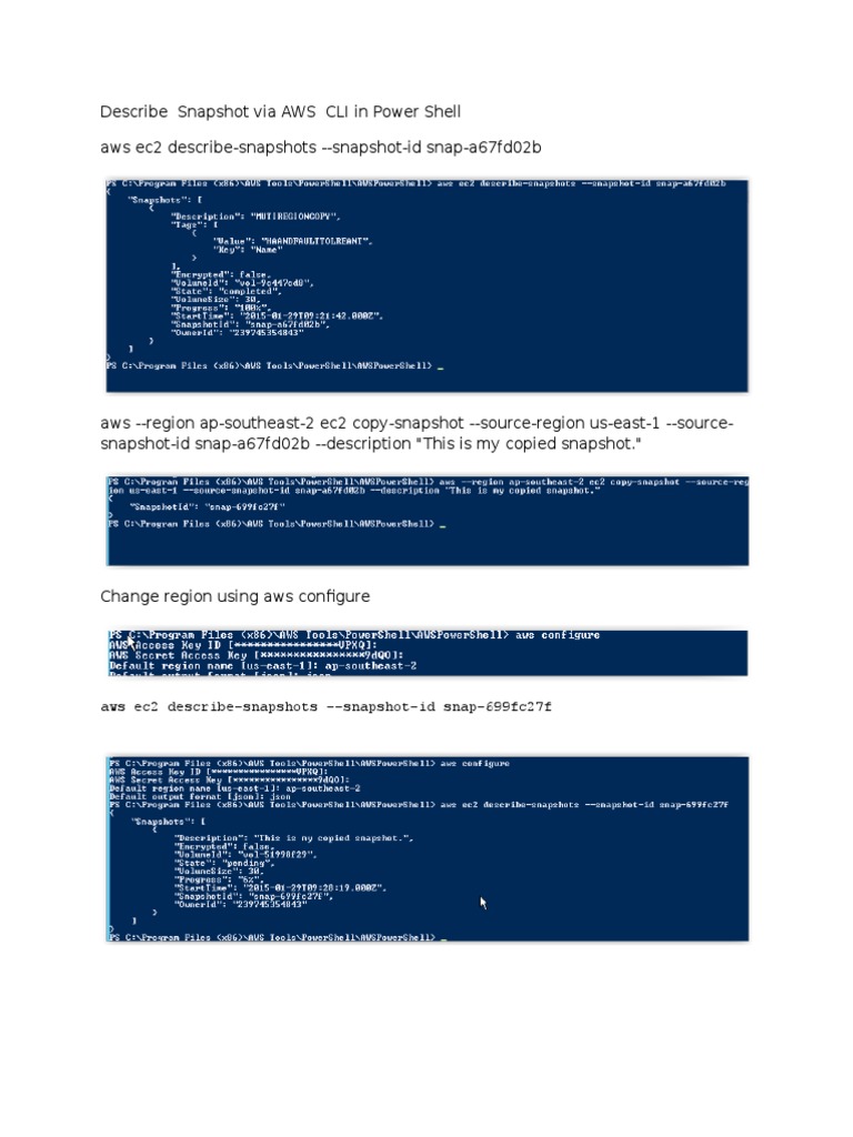 Aws Ec2 DescribeSnapshots SnapshotId Snap699fc27f PDF