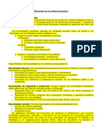 109906204 Sistema de Produccion Elementos de La Unidad Economica