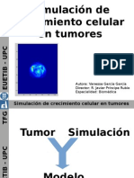 Simulación de crecimiento celular en tumores