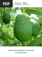 Produção Integrada Abacateiro