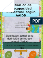 Definicion Discapacidad Intelectual Según Aaidd.