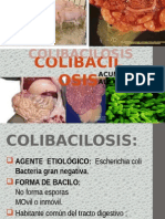 COLIBACILOSIS