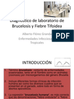 10- Brucelosis y Tifoidea en el Laboratorio.pdf