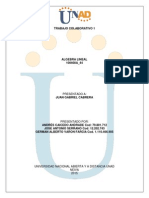 Trabajo Colaborativo calculo integral