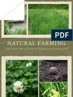 12861937 Natural Farming