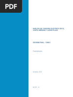 Informe Final TOMO I