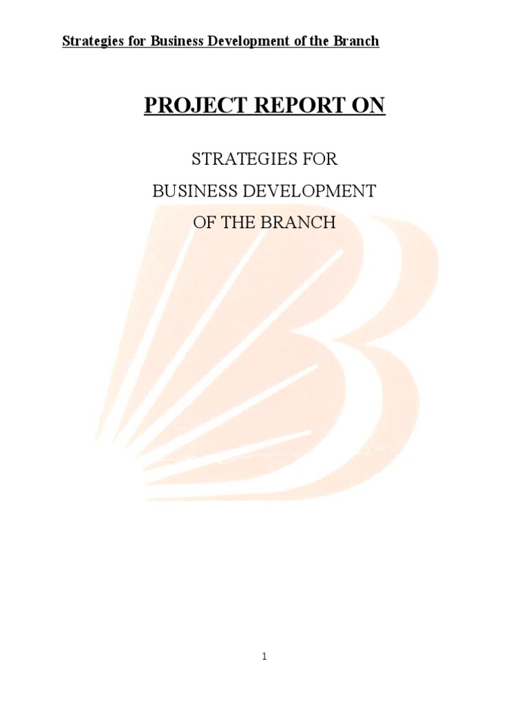 Strategies For Branch Development | PDF | Business Development | Banks