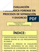 La Evaluación Psicológica en Procesos de Separación y Divorcio