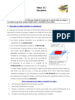 tema_11.pdf