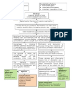 Typhoid Fever Pathophysiology