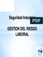 Gestion Del Riesgo Laboral PDF