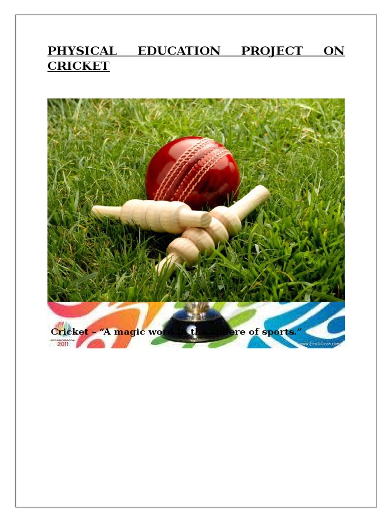project on cricket physical education