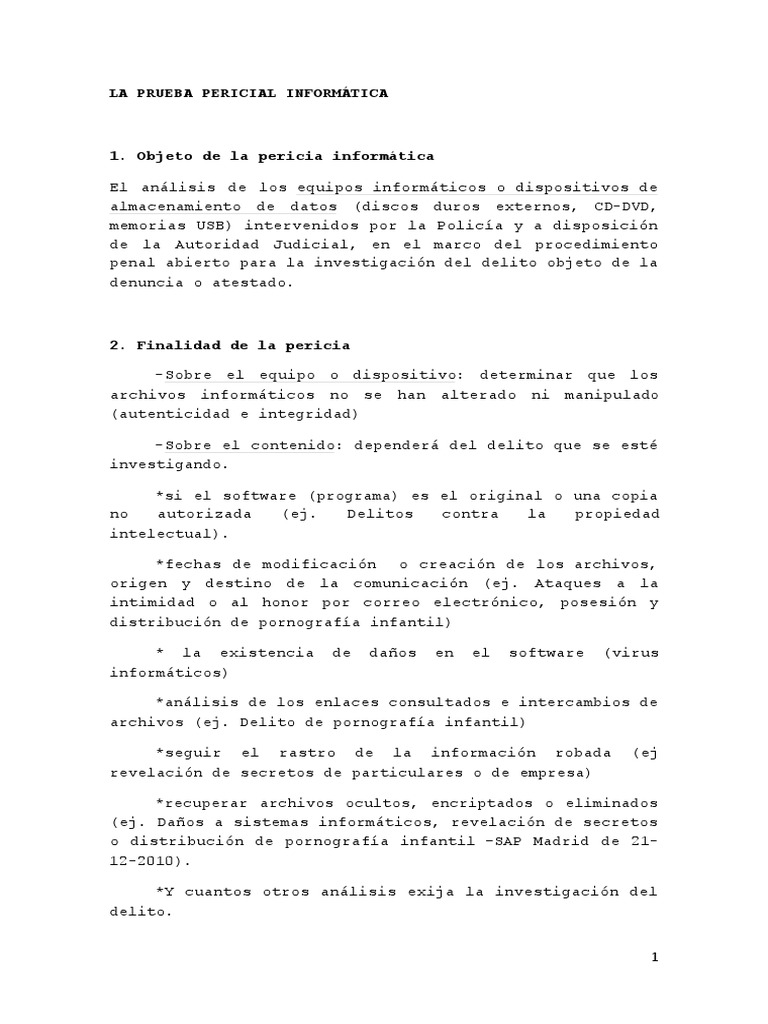 Prueba Pericial Informatica | Testigo experto | Caso de ley