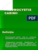 CursVI Pneumocystis Carinii