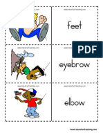 Body Parts Flash Cards