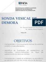 Sonda Vesical Demora