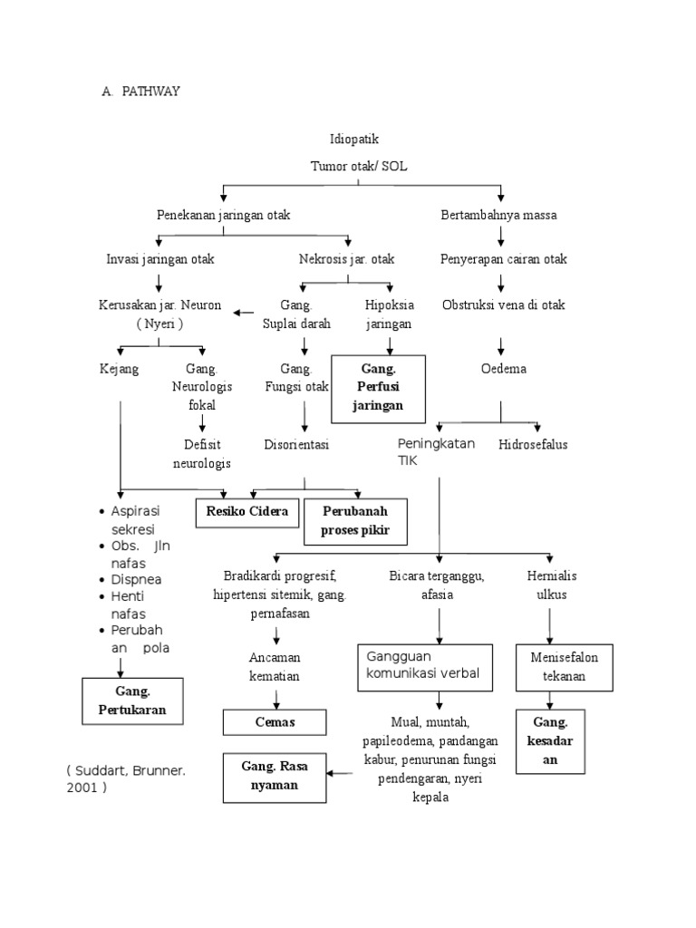 Penanganan Tumor Otak dan SOL | PDF