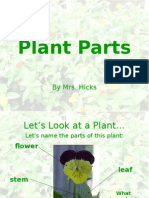 Plant Parts-Powerpoint