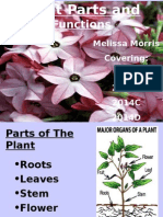 Powerpoint (3) Plant Parts