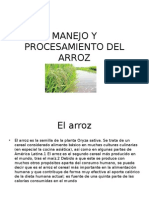 Manejo y Procesamiento Del Arroz