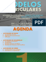 Presentacion Modelos Curriculares PDF