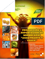 87720062 Produccion y Exportacion de Mermeladas de Aguaymanto y Sauco