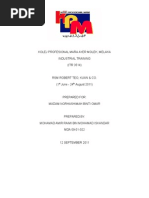 Download 76885445 Final Report Industrial Training for Accounting Student by Lau King Lieng SN272685047 doc pdf
