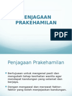 Prakehamilan