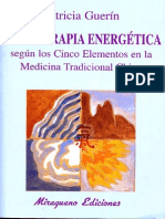 - Dietoterapia Energética Según MTC - Patricia Guerín (257) 