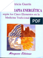 Dietoterapia Energética Según MTC - Patricia Guerín
