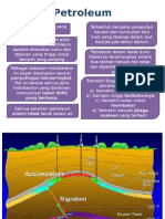 Petroleum