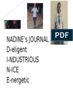 Nadine'S Journal D-Eligent I-Ndustrious N-Ice E-Nergetic