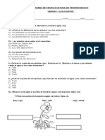 Prueba de Ciencias Naturales Tercero Basico