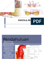 FISTULA PERIANAL: PENYEBAB, GEJALA, DIAGNOSIS DAN PENATALAKSANAAN