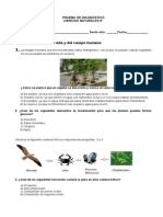 Diag Ciencias Naturales 6°