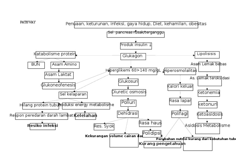 Pathway Diabetes Melitus | PDF
