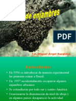 Curso Enjambres PC APIARIOS VERGEL