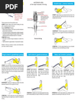 Stretch Strap Exercises, PDF, Foot