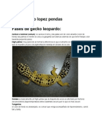 Guiafasesdegeckoleopardo.pdf