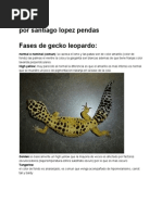 Guiafasesdegeckoleopardo.pdf