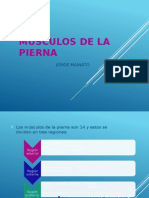 MUSCULOS DE LA PIERNA.pptx