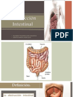 Obstrucción Intestinal (Invaginación, Cuerpos Extraños, Neoplasias y Volvulos)