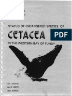 Status of Endangered Species of Cetacea in the Western Bay of Fundy