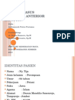 Lapsus Uveitis Anterior Hipopion